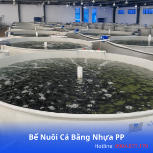 Bể Nuôi Cá Bằng Nhựa PP – Giải Pháp Hiện Đại, Bền Bỉ Cho Nuôi Trồng Thủy Sản