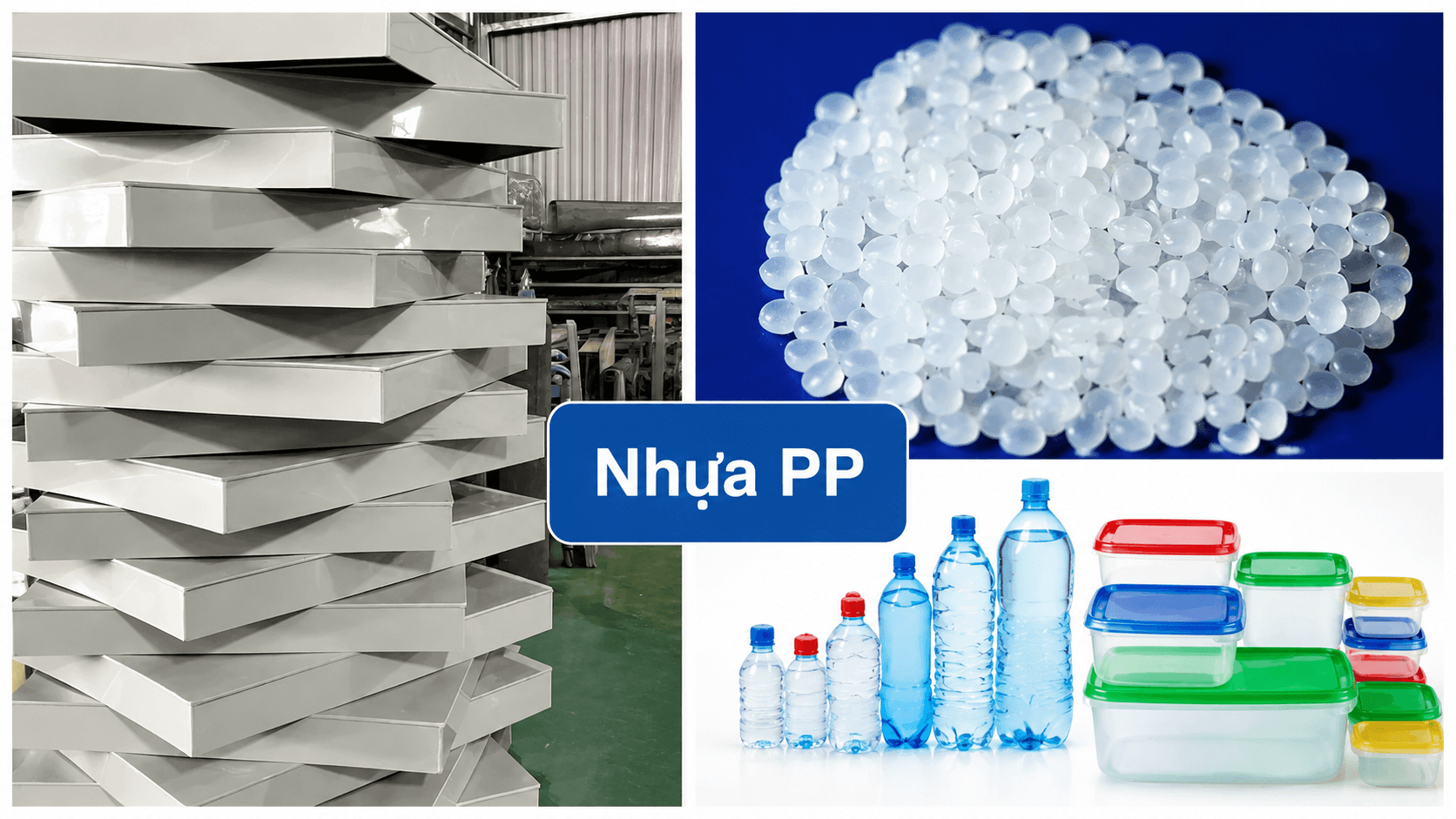nhua pp 3