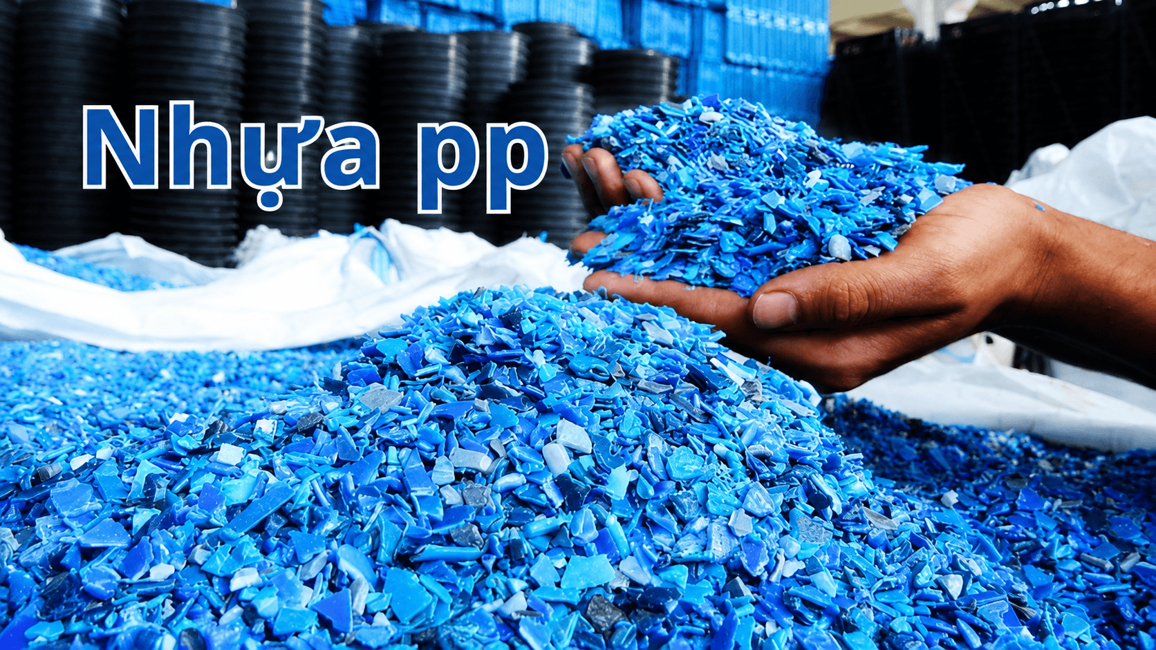 nhua pp 4