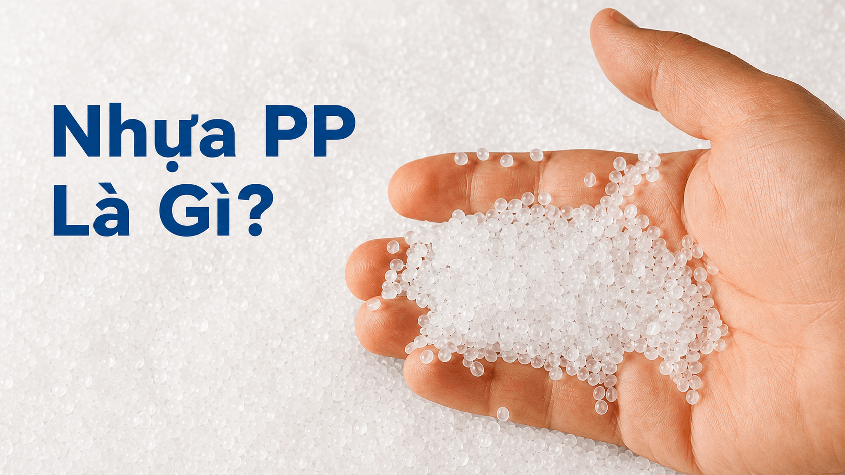 So Sánh Polyolefin Và Polypropylene